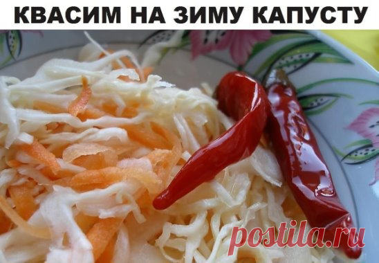 Чтобы квашеная капуста получилась более вкусной, добавьте к ней нашинкованную морковь, яблоки, клюкву, бруснику и тмин. Обычно приготовление капусты на зиму занимает 2 недели, и держать ее нужно при комнатной температуре, а затем убрать в холод. 
✔ Квашеная капуста на зиму
Хорошие крупные кочаны очищают от верхних листочков и рубят на части, затем удаляют кочерыжку, мелко шинкуют и смешивают с солью. На каждые 10 кг капусты необходимо 200-250 г соли. Затем на дно кастрюли или кадки насыпают слой