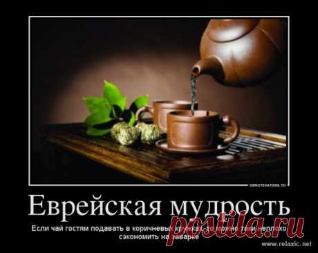 ХА-ХАтунчики))