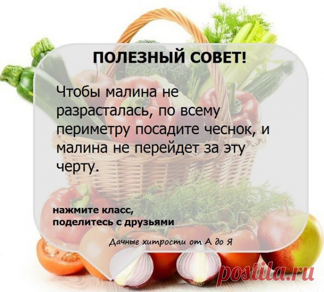 Дневник kuzya123452