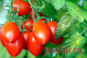 Своими руками... Да! – Рукоделие, декор, рецепты, дача, Diy, Handmade, вязание крючком, вязание, шитьё, выкройки, схемы, своими руками, мастер классы, лайфхаки