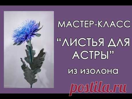 (607) Pinterest