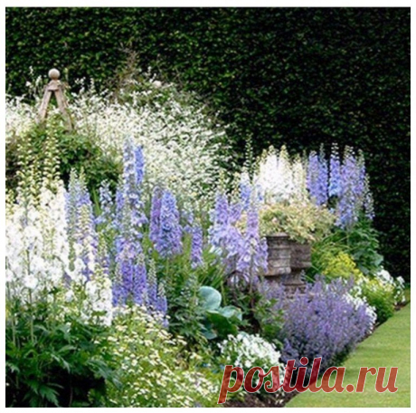 49 easy and low maintenance front yard landscaping ideas 14 ~ vidur.net 49 easy and low maintenance front yard landscaping ideas 14 Related