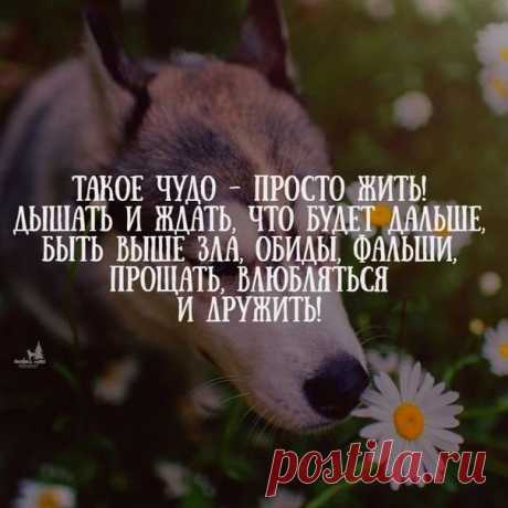 Культура ART Искусство