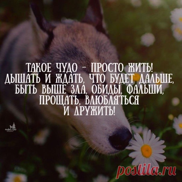 Культура ART Искусство