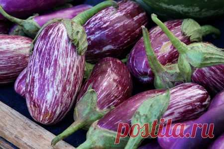 Удивительные овощи. - Садоводка