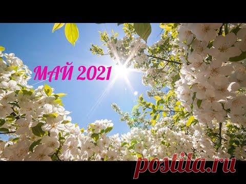 Экспресс Таро прогноз на Май 2021  для всех знаков Зодиака (Астрологический Оракул Симболон)