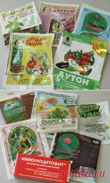 Стимуляторы - регуляторы роста растений