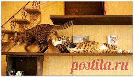 ааааааа поговорить?)))))