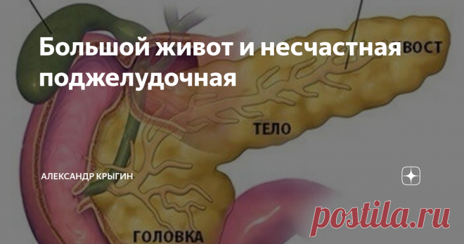 Большой живот и несчастная поджелудочная Когда задают вопрос, что делать, если эстетика живота не радует, я всегда говорю, что первый шаг нужно сделать, просто отойдя от зеркала и начинать РАЗБИРАТЬСЯ. Привычка ждать помощи со стороны - даже если это аптека -  помогла хотя бы кому-то? А РАЗБИРАТЬСЯ - это получать знания, навыки. Тогда и легко станет находить причины. Причин висцеральных нарушений может быть много. Сегодня мы затронем одну из самых частых и имеющих отдаленн...