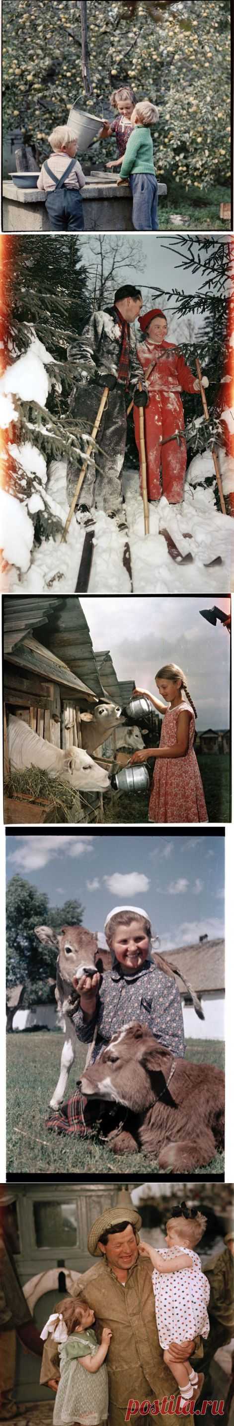 (+1) тема - Советские лица в фотографиях Семена Фридлянда | Дети перестройки