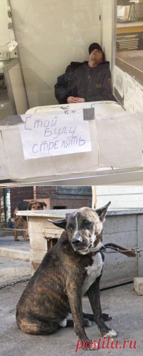 Охранник зачастую становится первым барьером на пути преступника и он должен быть готов его встретить. Поэтому, при подготовке кадров учебные центры стараются дать как можно более полную подготовку.