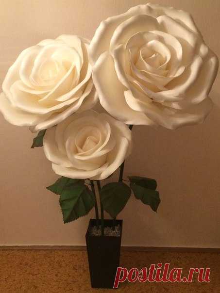 Настал черед и мне похвастаться своей работой, выполнил ее совместно с женой 
Итак розы диаметром 52, 65 и 75 см. Высота композиции 2 метра. В работе использовался изолон 3 мм и зеленый фоамиран 2 мм.

#изолон #изолонппэ #большиецветы #цветыизизолона #крыльяизизолона #isolon #izolon #гигантскиецветы #декор #handmade #рукоделие #декорирование #Косплей #маскиизиолона #фотозонаизизолона #фотозона #оформлениесвадьбы #ростовыецветы #flowerfoam #гигантскиецветы #фоамиран