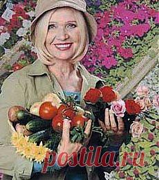 20 полезных советов огородникам и садоводам | Домохозяйки