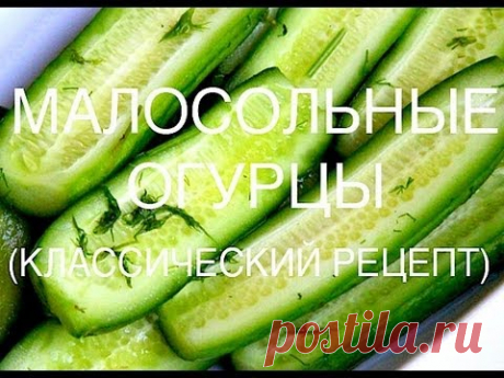 Секреты вкусных малосольных огурцов