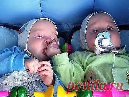 Дети-цветы жизни