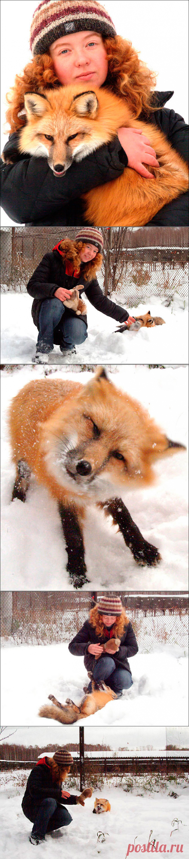 Дрессировщица лис