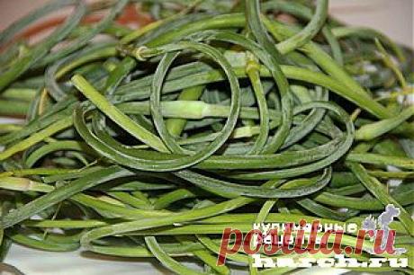 Чесночные стрелки маринованные | Харч.ру - рецепты для любителей вкусно поесть