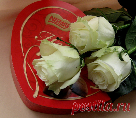 0_a8606_8be3b8e1_XXXL.jpeg (1280×1116)