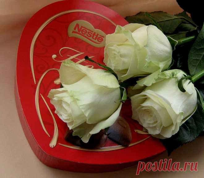 0_a8606_8be3b8e1_XXXL.jpeg (1280×1116)