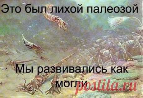 самые смешные анекдоты и приколы картинки 2020 - ПРИКОЛЫ ЮМОР ШУТКИ ツ группа фейсбук