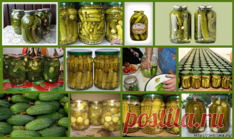 8 рецептов засолки- хрустящие ОГУРЧИКИ