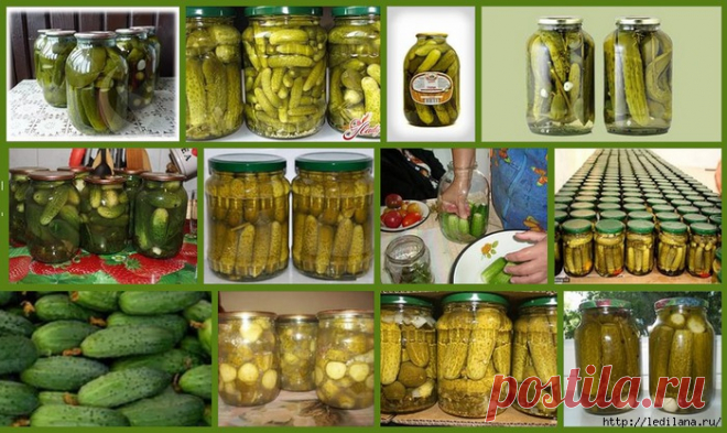 8 рецептов засолки- хрустящие ОГУРЧИКИ