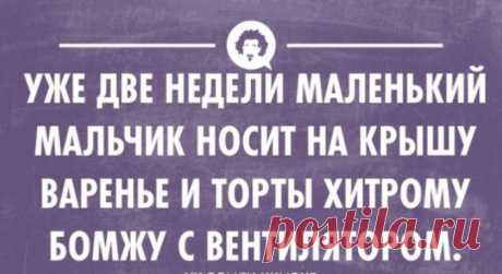 Цветные открытки с юмором — Убойный юмор - amworld