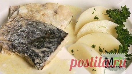 Судак, тушенный с хреном - кулинарный рецепт. Миллион Меню