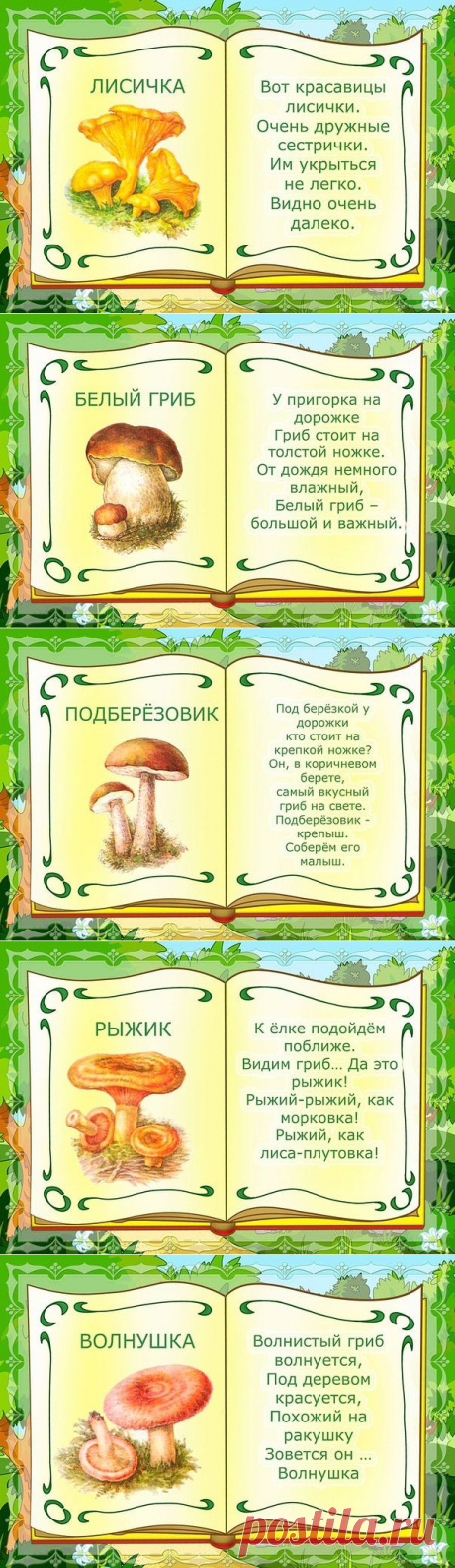 Грибы