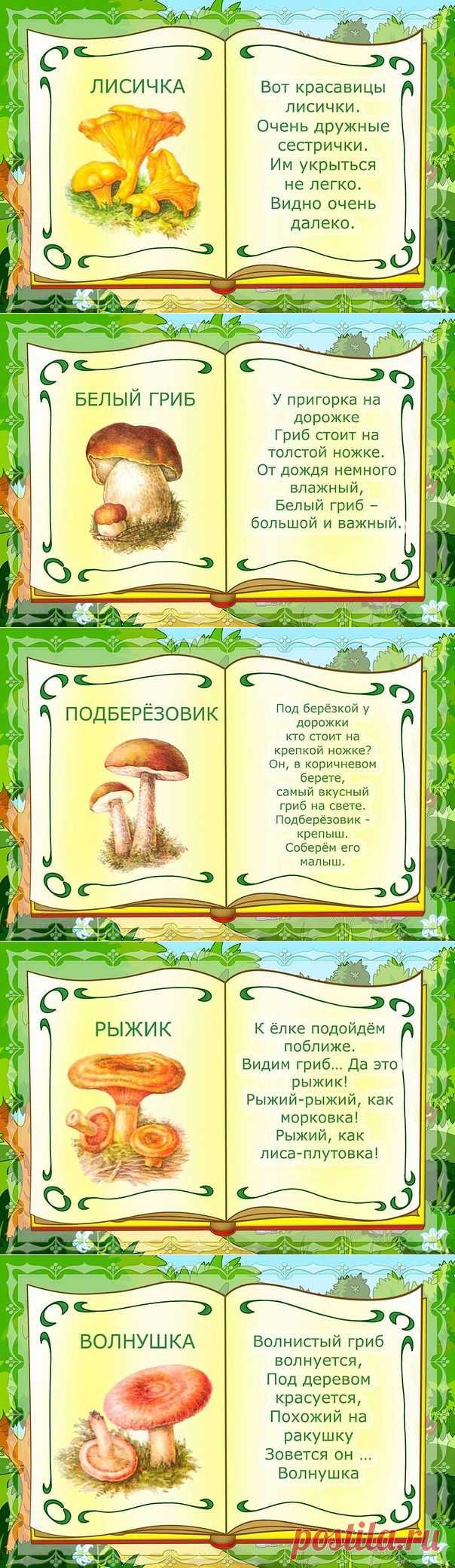 Грибы