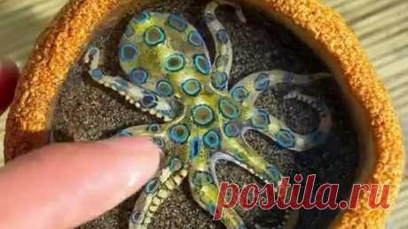 ИНОСМИ | Золотые руки — все что нужно, чтобы получился шедевр