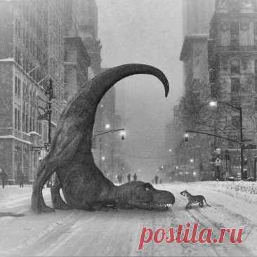 Пин на доске Just for laughs..need to smile
