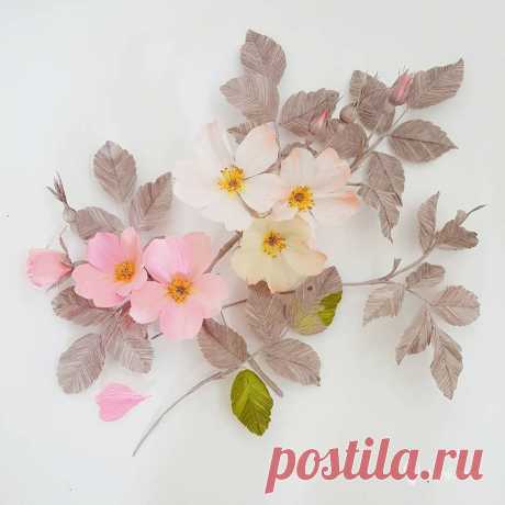 Lynn Dolan - Поиск в Google