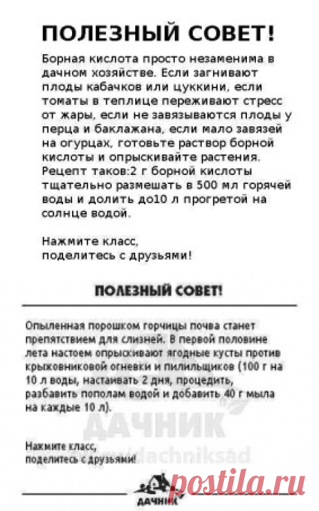 (57) Одноклассники