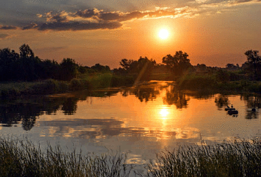 Zulya S - Google+
