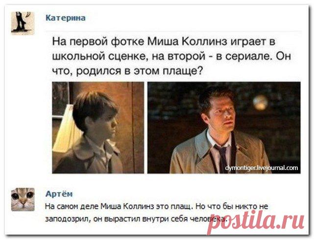 Смешные высказывания и комментарии из социальных сетей и приколы из других частей интернета