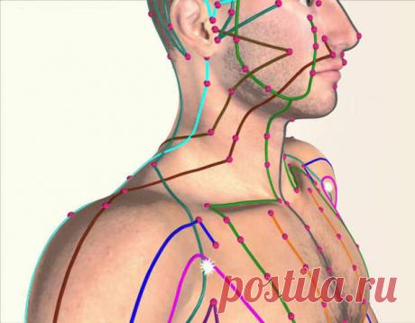 Простой китайский способ лечения всех болезней - Народная медицина - медиаплатформа МирТесен Китайские врачи убеждены, что, если у человека все в порядке с проходимостью каналов меридианов, то не будет проблем с кровообращением и самочувствием. На руках и ногах у нас есть по 6 каналов меридианов. Вот простые упражнения, «открывающие» меридиональные каналы и исцеляющие внутренние органы.