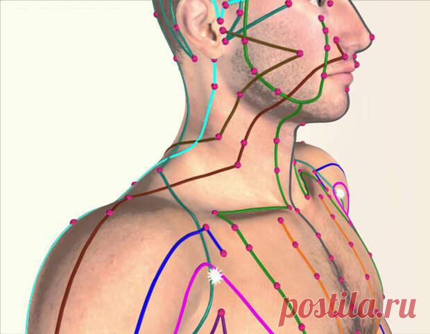 Простой китайский способ лечения всех болезней - Народная медицина - медиаплатформа МирТесен Китайские врачи убеждены, что, если у человека все в порядке с проходимостью каналов меридианов, то не будет проблем с кровообращением и самочувствием. На руках и ногах у нас есть по 6 каналов меридианов. Вот простые упражнения, «открывающие» меридиональные каналы и исцеляющие внутренние органы.