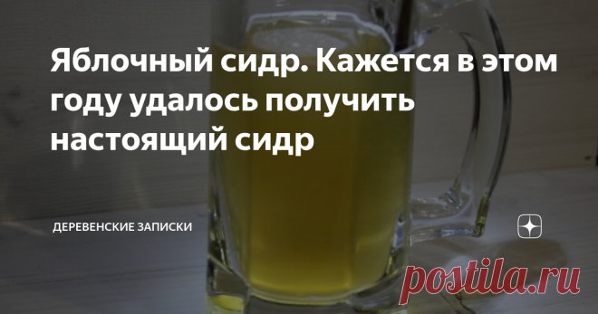 Яблочный сидр. Кажется в этом году удалось получить настоящий сидр