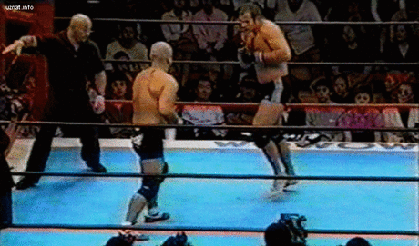 Лучшие победы Емельяненко Федора (17 gif анимаций)