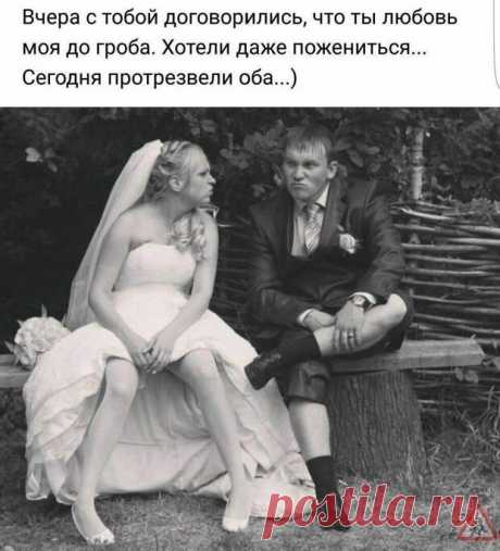 Пассажиры поезда Москва-Киев поняли, что что-то пошло не так, когда по вагону с напряжённым лицом прошёл Стивен Сигал - РЖАКА - медиаплатформа МирТесен РФ ответила на санкции США и повысила пенсионный возраст до 65 лет для мужчин и 63 лет для женщин, а последним ударом было введение 20% НДС. - Дорогой, если я умру, обязательно женись. Хочу, чтобы и после моей смерти ты был счастлив.- Что ты, дорогая. Я и так буду счастлив. - А как по дереву