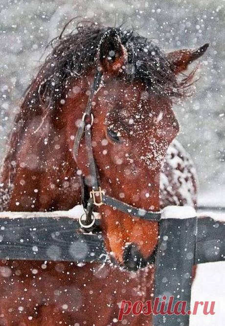 Мой Мир@Mail.Ru