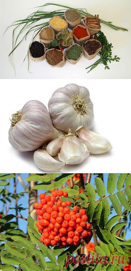 Народные способы похудения: мракобесие или мудрость бабушек? | Диеты со всего света