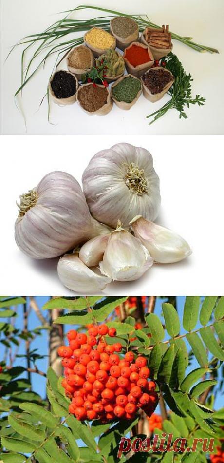 Народные способы похудения: мракобесие или мудрость бабушек? | Диеты со всего света