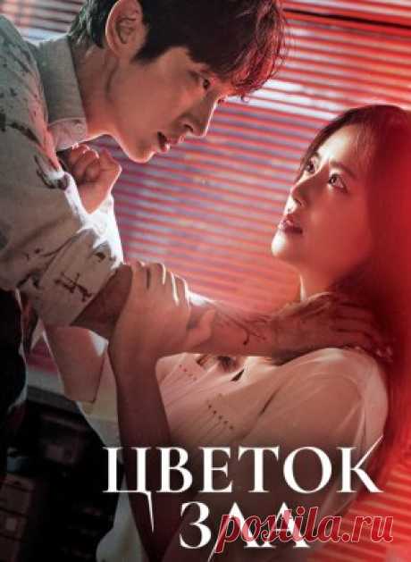 Дорама Цветок зла (2020) с русской озвучкой смотреть онлайн в хорошем качестве без регистрации Сериал повествует о женщине-детективе, которая раскрывает тёмное прошлое своего мужа и сталкивается с многочисленными загадками и тайнами. Какие секреты скрывает её..