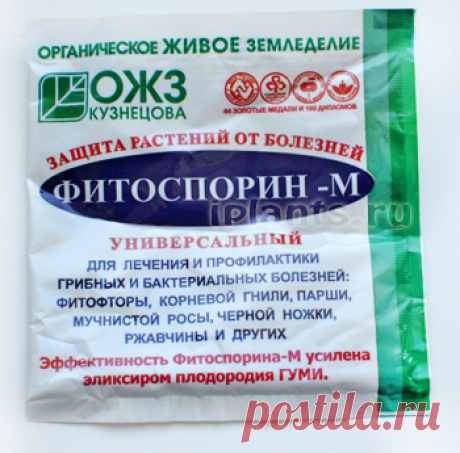 Фитоспорин - инструкция, применение, подробное описание, нормы расхода