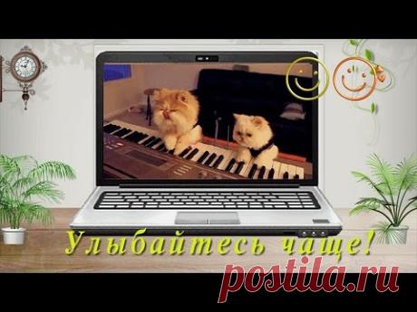 С днем улыбки! Улыбнитесь, друзья!