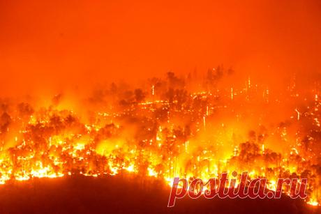 ООН предупредила о катастрофических пожарах по всему миру. ООН предупредила об увеличении количества разрушительных лесных пожаров. По мнению организации, по мере изменения климата будет гореть большая часть мира, что приведет к катастрофическим последствиям для здоровья людей и экономики. «Глобальное потепление превращает ландшафты в пороховые бочки», — сказано в отчете.