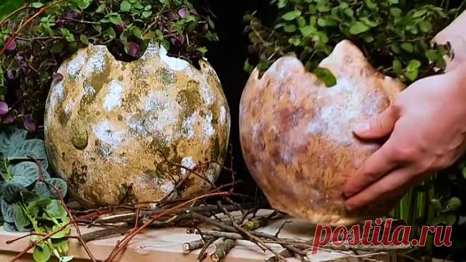 Оригинальные поделки из цемента