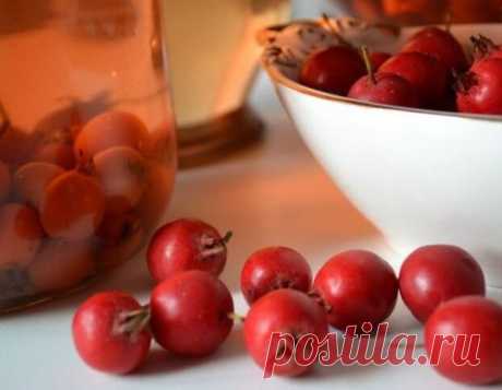 Здравы будьте, бояре! Полезные и вкусные настойки боярышника на водке в домашних условиях
